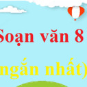 Soạn bài Viết đoạn văn trong văn bản thuyết minh | Ngắn nhất Soạn văn 8