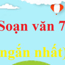 Soạn bài Những câu hát than thân | Ngắn nhất Soạn văn 7