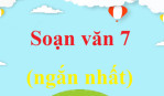 Soạn bài Những câu hát than thân | Ngắn nhất Soạn văn 7